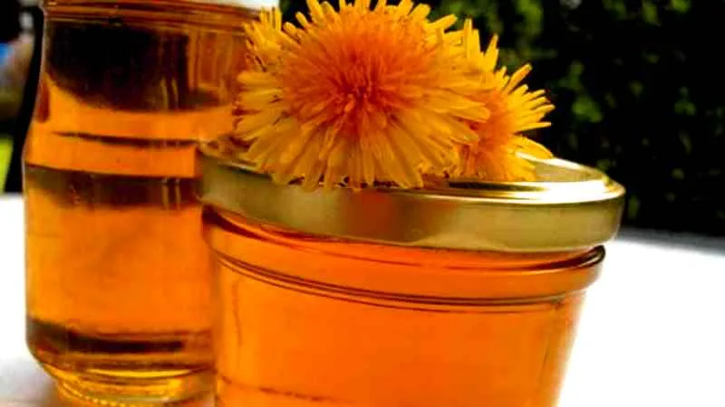 Sirup od maslačka protiv kašlja recept