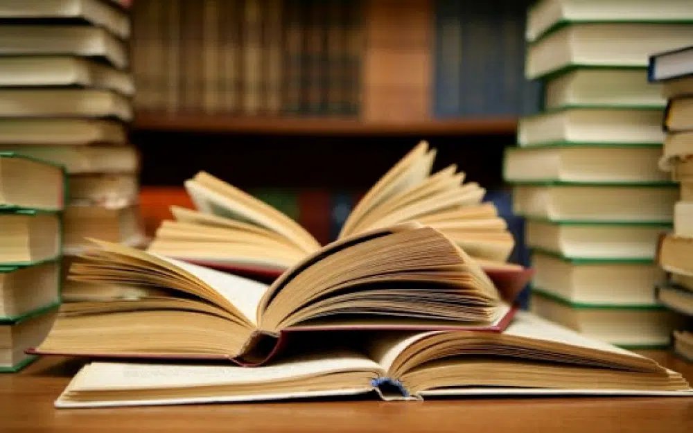 Svjetski dan knjige: Narodna biblioteka HNK organizirala pričaonicu za djecu