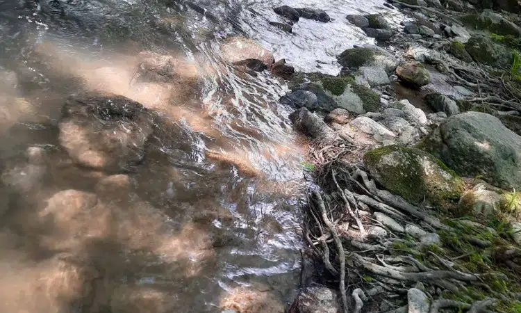 Na rijeci Trešanici nisu uočene naftne mrlje i pomor ribe