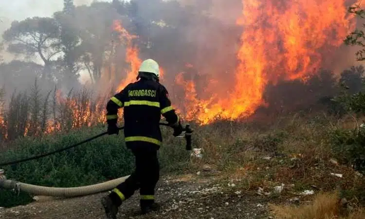 Apel građanima Gruda da ne pale vatru na otvorenom