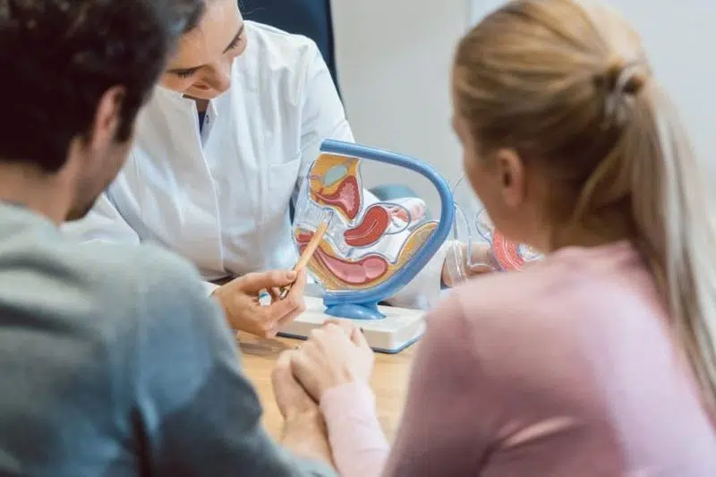 Šta sve parovi trebaju znati o vantjelesnoj oplodnji