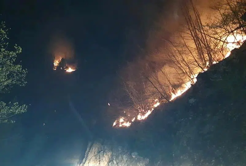 Još aktivan požar u Dabića poljani