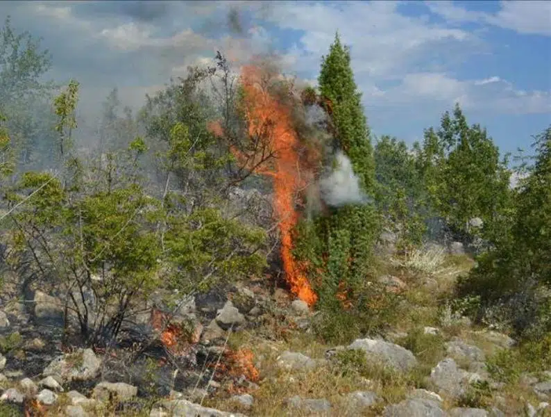 Požar iznad Trusine i dalje aktivan, izgorili voćnjak i maslinjak