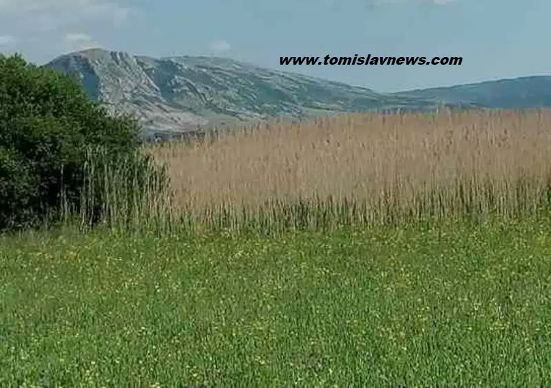 DOBRO vam razmjerno vedro i toplo jutro iz Tomislavgrada!