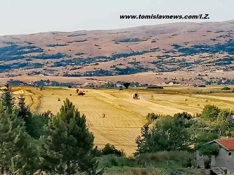 DOBRO vam vedro i sparno jutro iz Tomislavgrada!