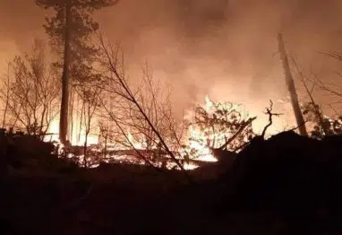 Vatrogasci učestvovali u gašenju 24 požara