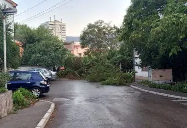 Vjetar u Zaliku oborio stablo