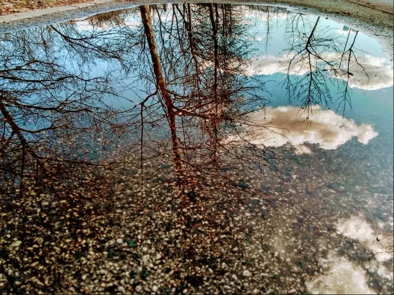 Ovim horoskopskim znacima život se mijenja iz korijena