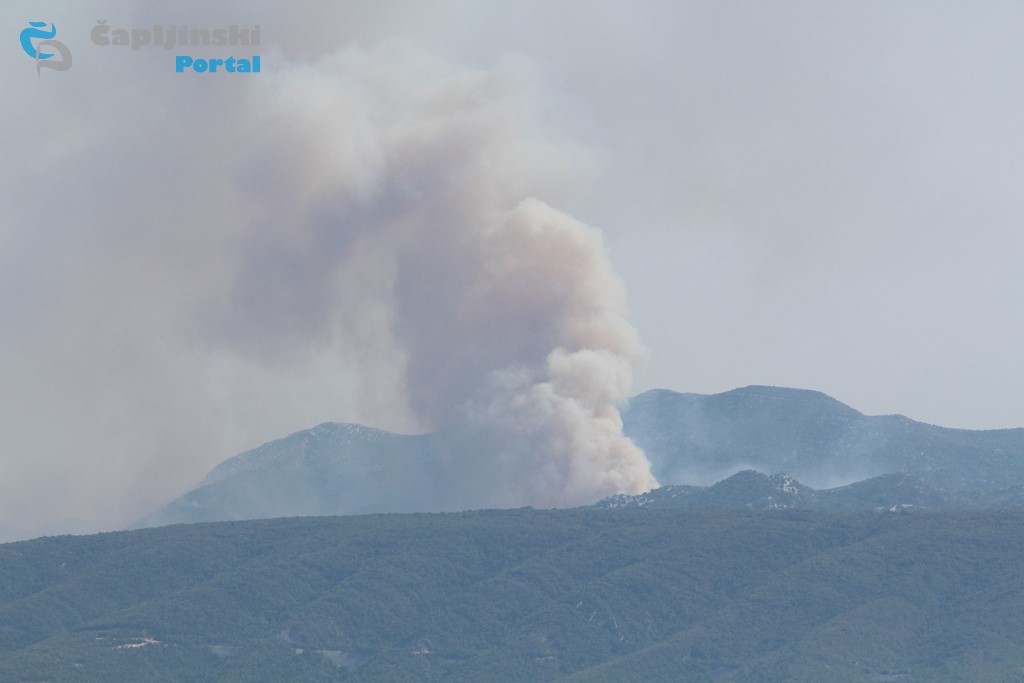 FOTO | Razbuktao se požar na Žabi – stup dima se diže kilometrima u zrak