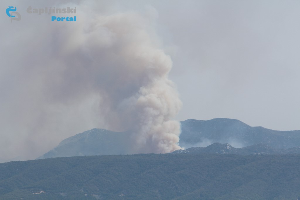 FOTO | Razbuktao se požar na Žabi – stup dima se diže kilometrima u zrak