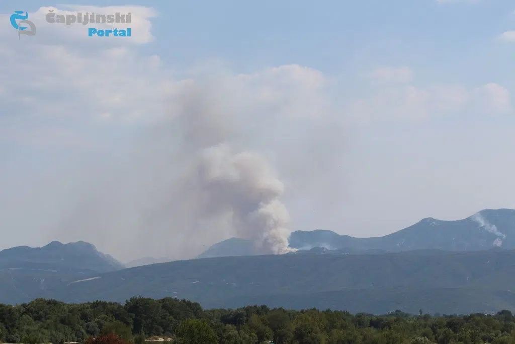 FOTO | Razbuktao se požar na Žabi – stup dima se diže kilometrima u zrak