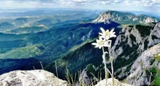 SREĆA ĆE IH PRATITI DO KRAJA AVGUSTA Ne zna se da li će imati više novca ili ljubavi!