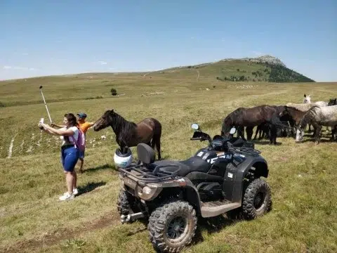 Quadovima do livanjskih divljih konja: Jedna od najkvalitetnijih turističkih atrakcija koja se može doživjeti u BiH