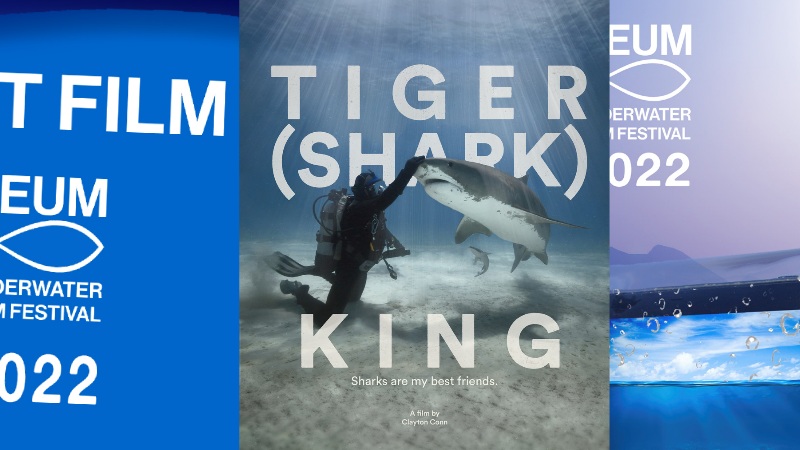 FOTO | Drugi Festival podvodnog filma u Neumu oduševio publiku, prikazano 27 filmova, proglašeni pobjednici