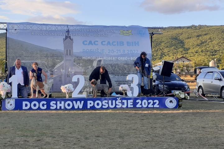 FOTO: Rekordan broj pasa svih pasmina na izložbi u Posušju, pobjeda pripala ruskoj vlasnici