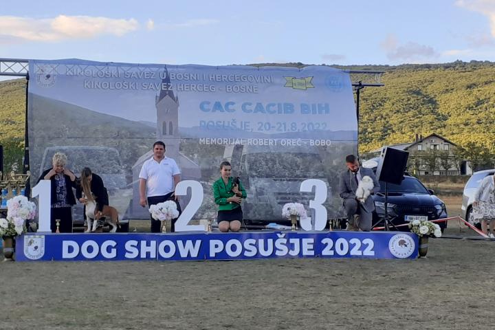 FOTO: Rekordan broj pasa svih pasmina na izložbi u Posušju, pobjeda pripala ruskoj vlasnici