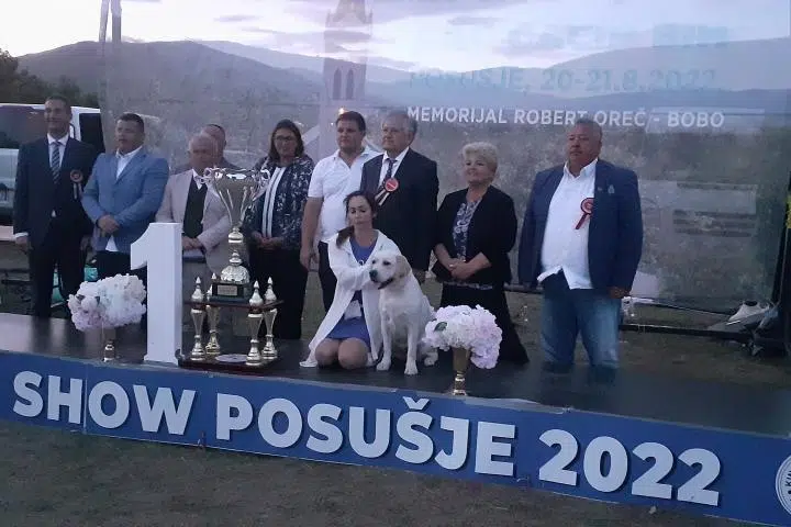 FOTO: Rekordan broj pasa svih pasmina na izložbi u Posušju, pobjeda pripala ruskoj vlasnici