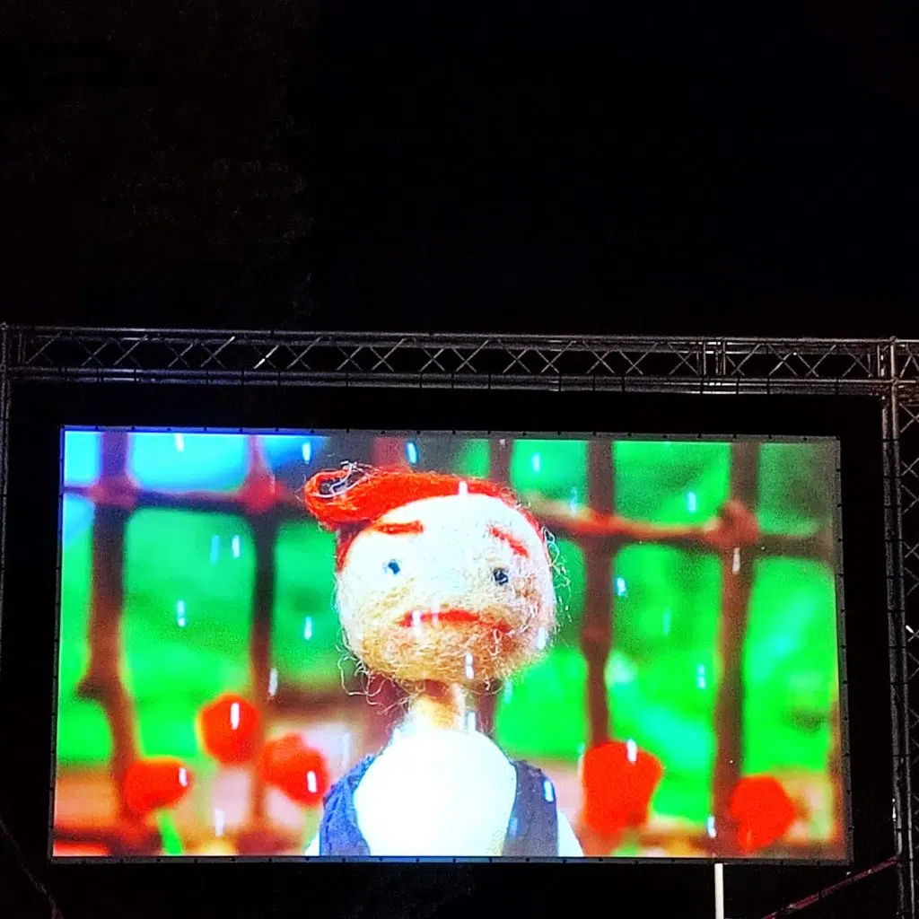 Drugu večer NAFF-a prikazan film “Rainboy” iz BiH