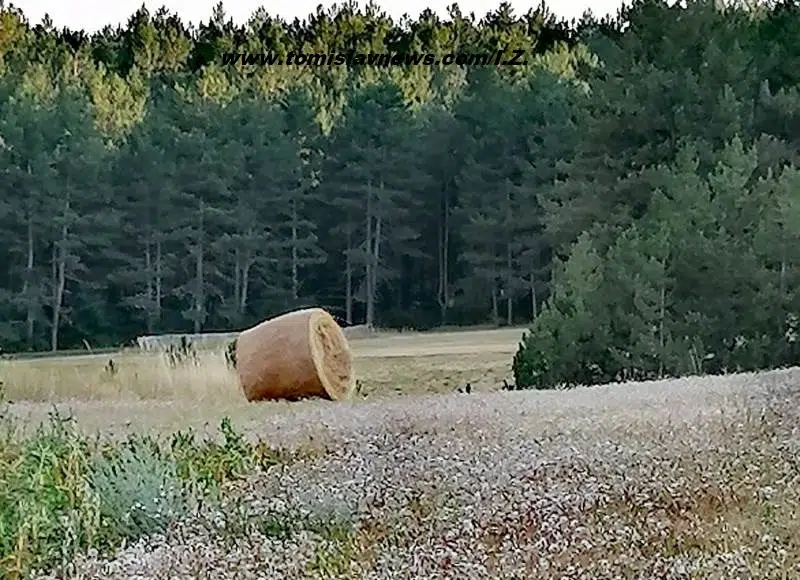 DOBRO vam oblačno i toplo jutro iz Tomislavgrada!