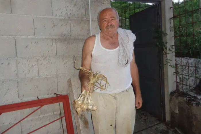 Niko Vulićević, čuvar tradicije juga Hercegovine: ”Tajna života je u organskom uzgoju”