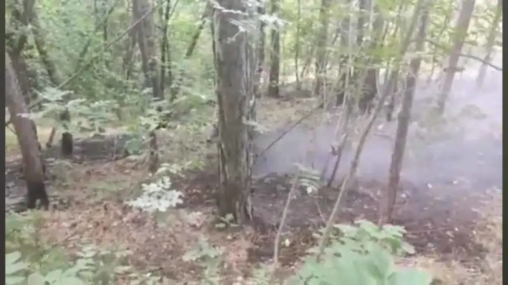 Požari na Borcima i u Glavatičevu i dalje aktivni, očekuje se dolazak helikoptera OS BiH