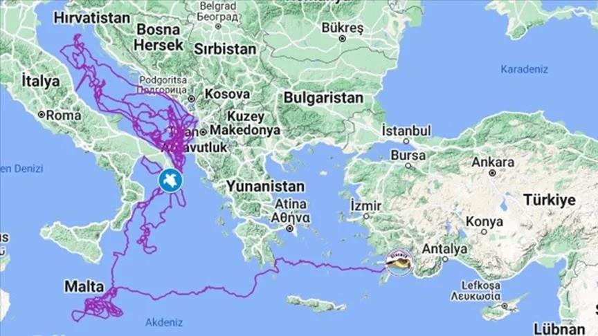 VIDEO | Neum posjetila kornjača Tuba koja je za tri godine prešla 17.500 kilometara