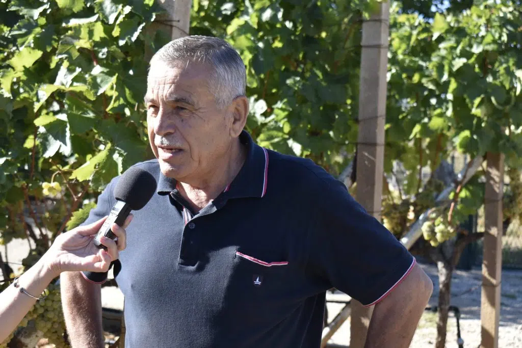 RLJ audio: Vinarija Sušac – Uvjerite se u izvrsnost Ljubuških vina!