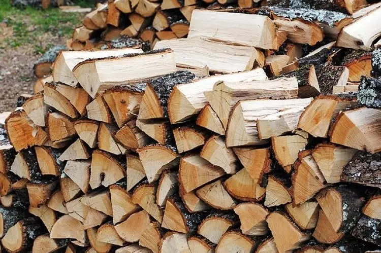Evo zašto nema drva za one koji su uplatili
