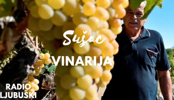 Video kolaž – Vinarija Sušac