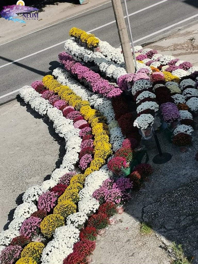 FOTO: Ponuda cvijeća i svijeća u Neumu za Dušni dan
