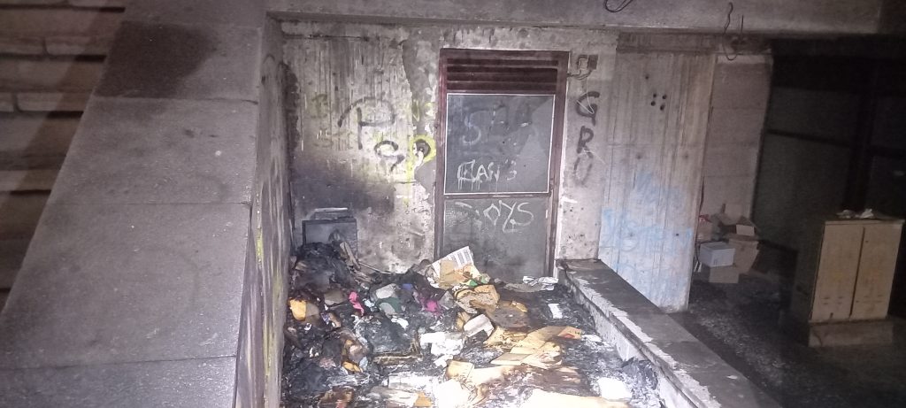 Intervencija konjičkih vatrogasaca Intervencija konjičkih vatrogasaca