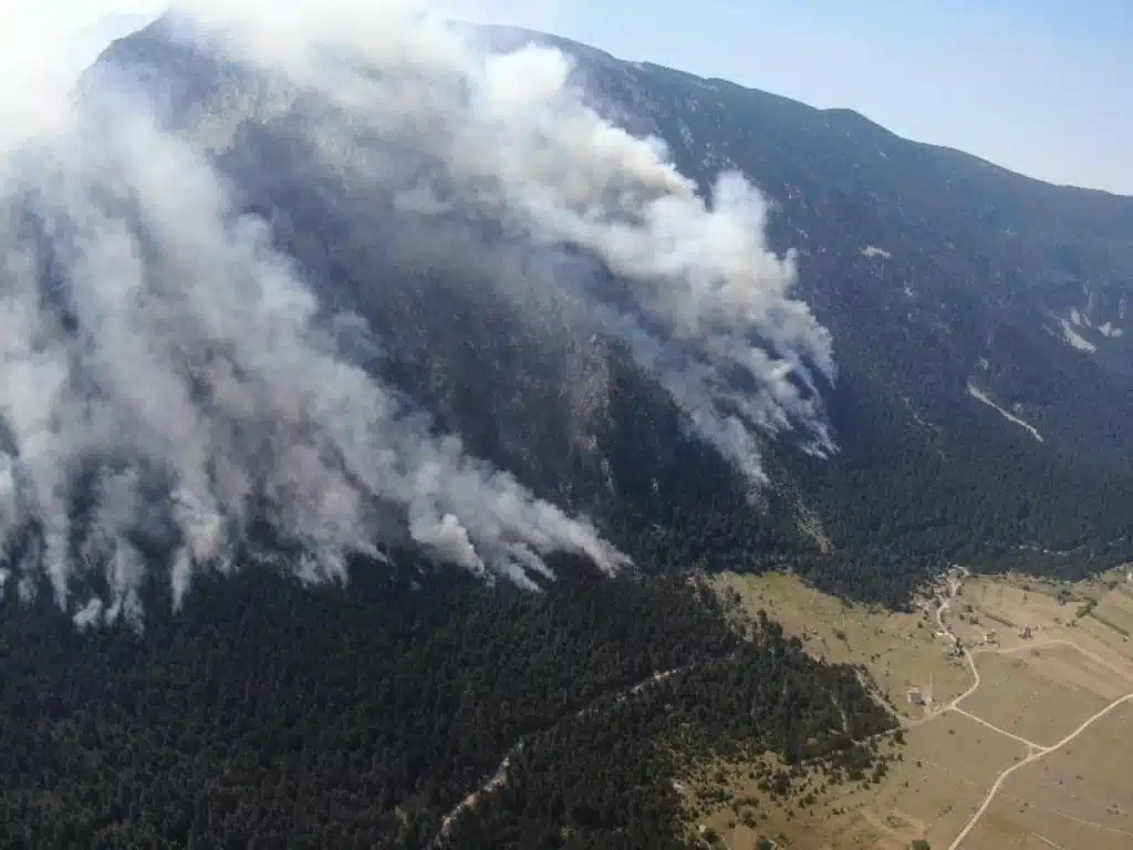 Šteta od šumskog požara na Blidinju procijenjena na više od milijun maraka