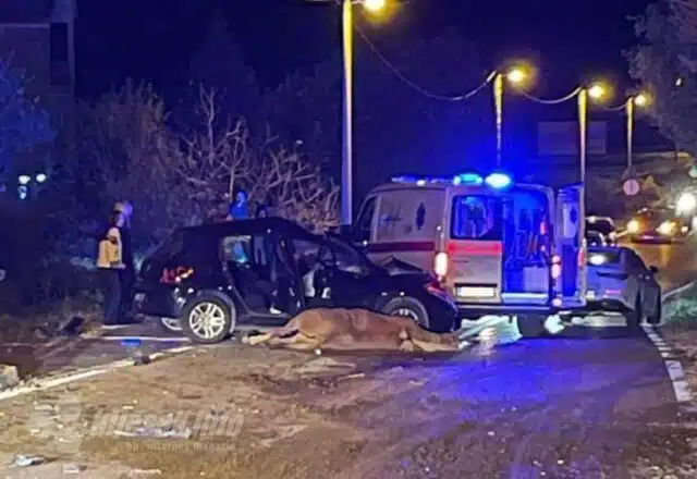 TRAGEDIJA KOD MOSTARA Vozačica (45) poginula nakon sudara s konjem | HIP.ba
