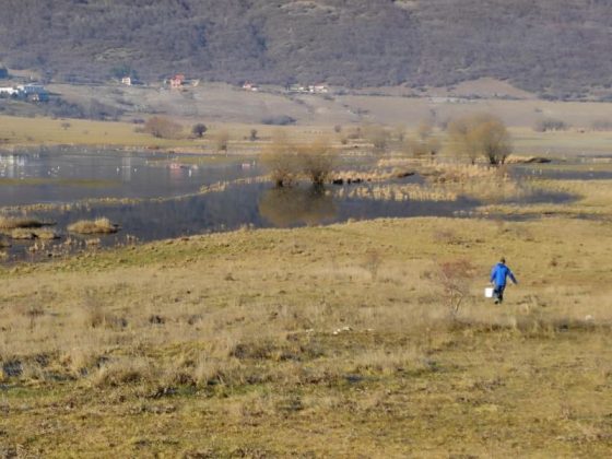 U rijeku Šujicu pušteno 6000 komada mlađi potočne pastrmke