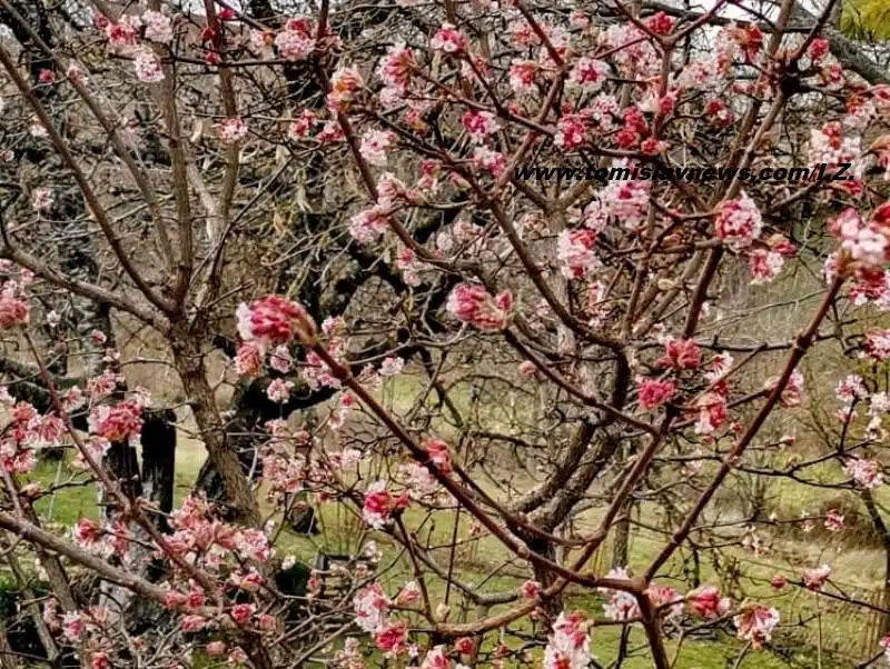 DOBRO vam oblačno, kišovito i maglovito jutro iz Tomislavgrada!