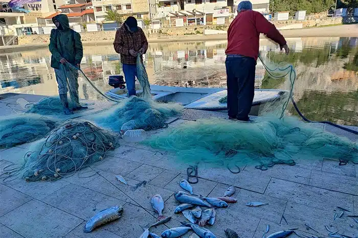 FOTO | Jutro s neumskim ribarima: ”Svaka riba ima svoga kupca”