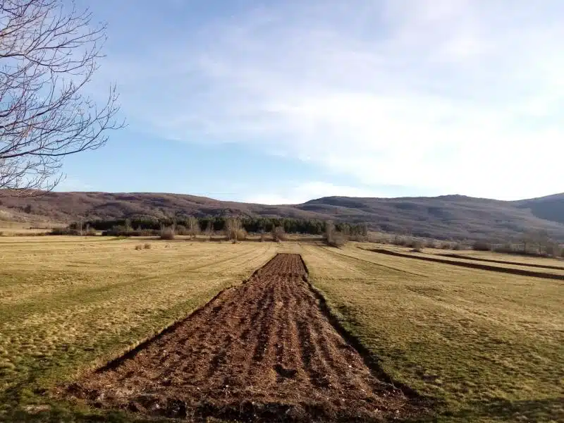 Prve brazde, Zavelim u iščekivanju… (foto)