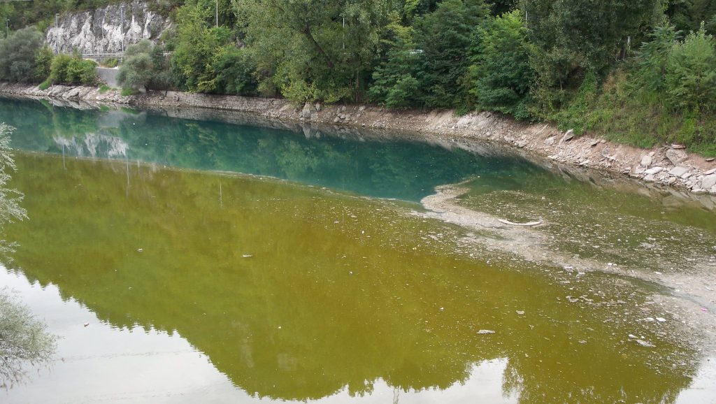 Cvjetanje algi je prirodna reakcija, ali na zagađenu vodu