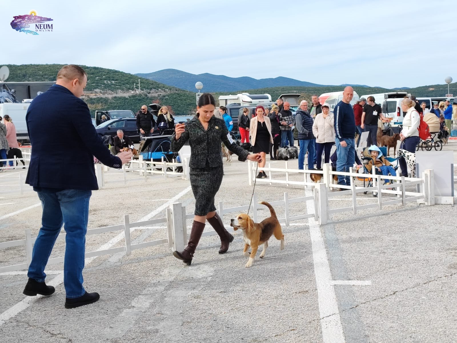 foto| prva izložba pasa u neumu- “adriatic winner show”
