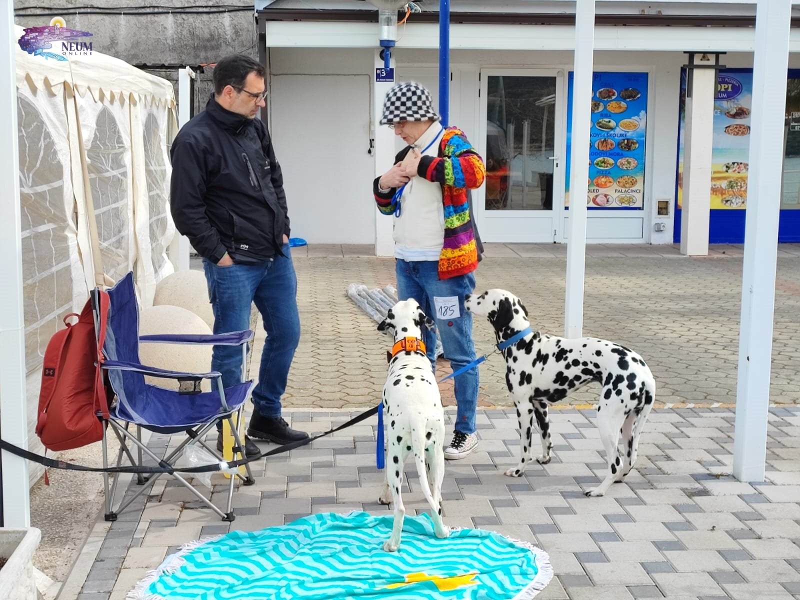 foto| prva izložba pasa u neumu- “adriatic winner show”