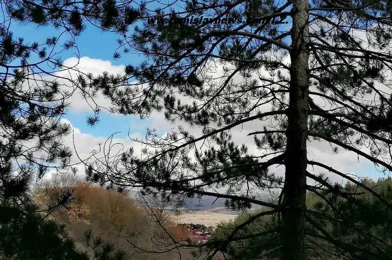 DOBRO vam razmjerno oblačno i prohladno jutro iz Tomislavgrada!