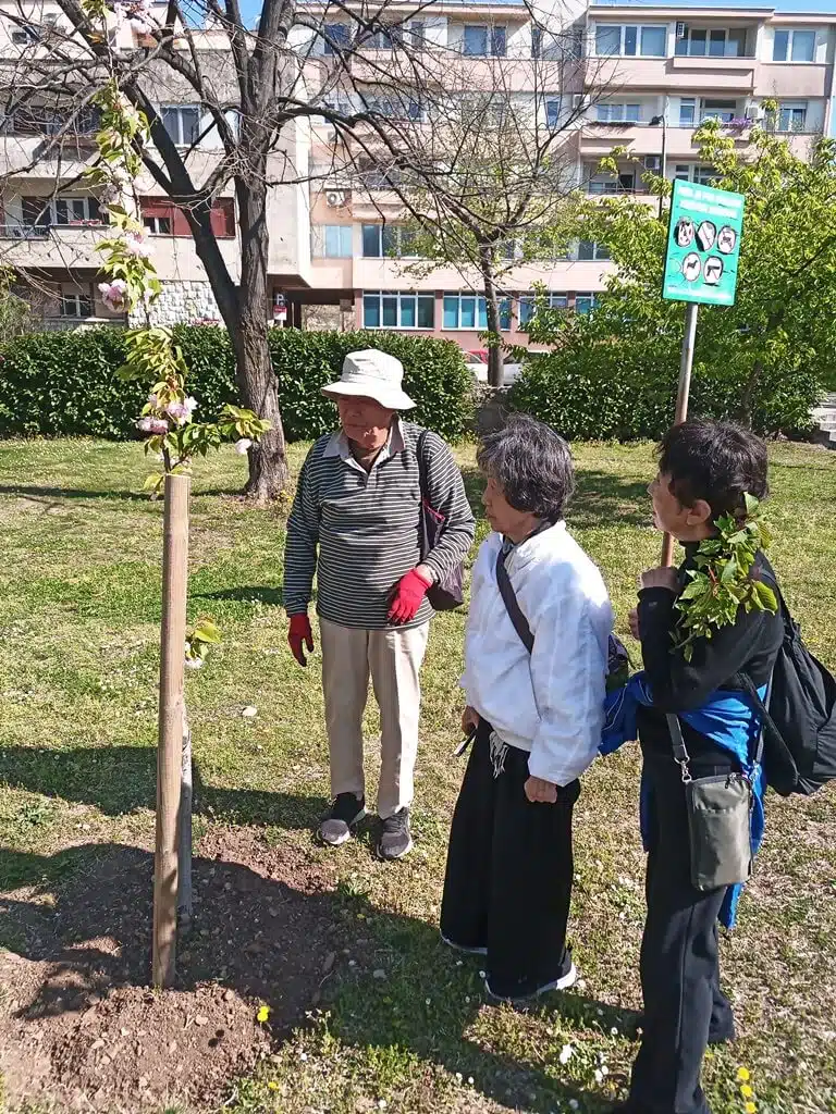 U Mostaru se 2024. organizira tradicionalni festival japanske trešnje ‘Hanami’
