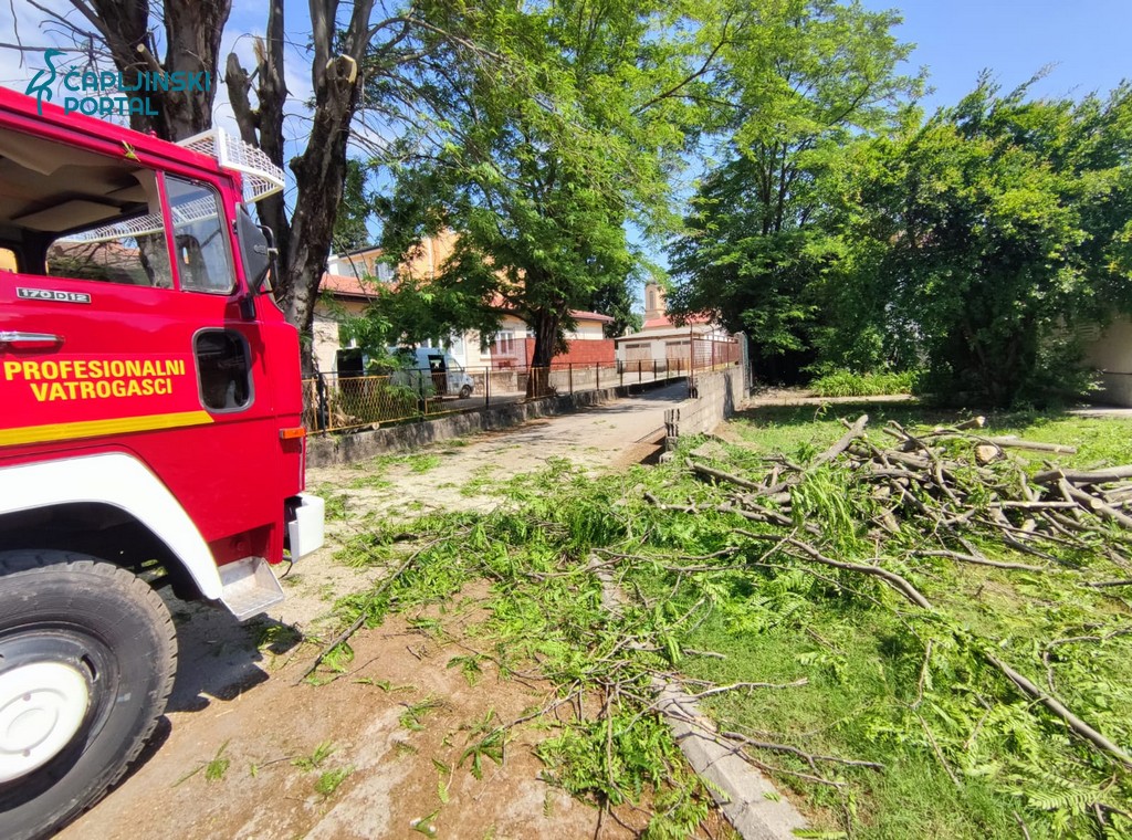 FOTO | Orezuju se stabla kod Doma zdravlja – ulica zatvorena za promet