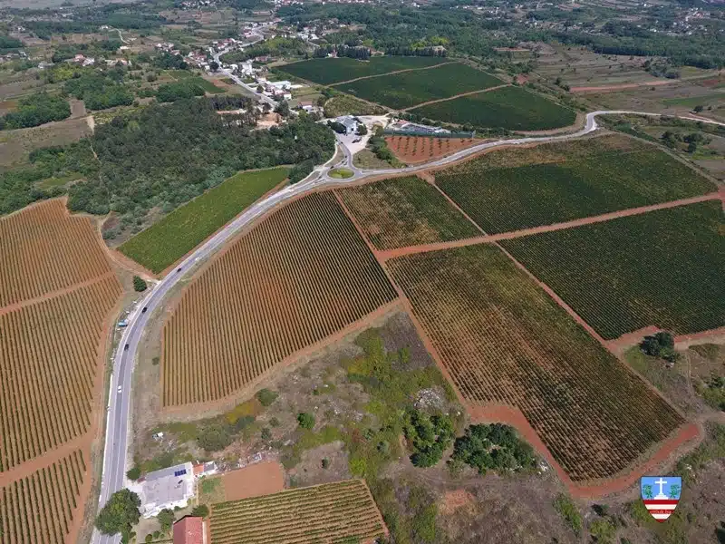 Preporuka za zaštitu vinove loze