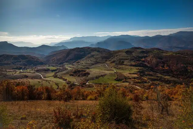 Josip Lovrenović: IZ RAME SLIKE