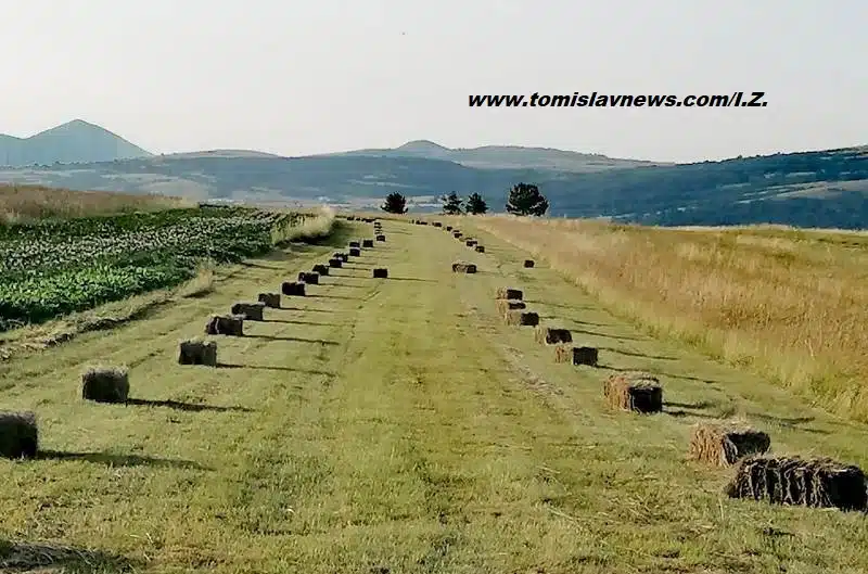 DOBRO vam razmjerno vedro i sparno jutro iz Tomislavgrada!