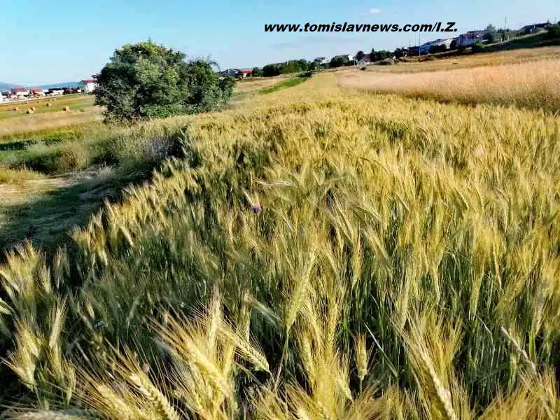 DOBRO vam umjereno vedro jutro iz Tomislavgrada!