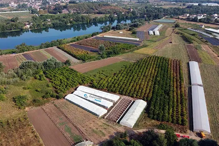 Testiranje tla u Čapljini: Na više lokacija zabilježeno jače prisustvo kadmija, nikla, kroma, arsena…