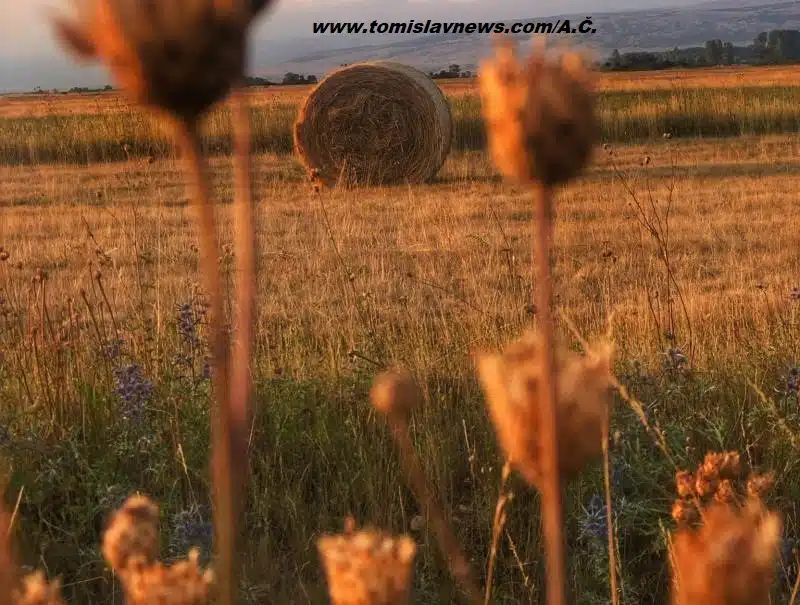 VIDEO/FOTO: DOBRO vam toplo i vedro jutro iz Tomislavgrada!