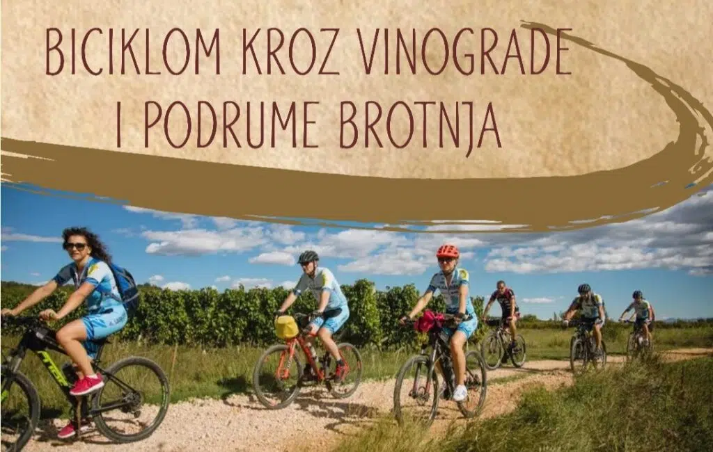 Biciklistička tura „Biciklom kroz vinograde i podrume Brotnja“ dio Dana berbe grožđa